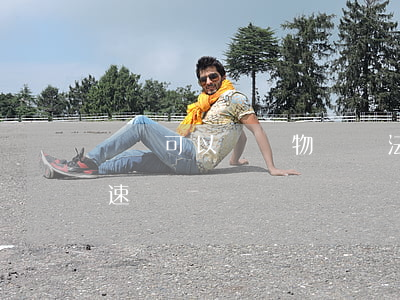 開車可以帶寵物嗎違法(開車可以帶寵物上高速嗎)