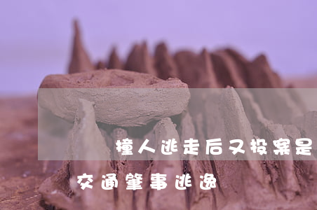 開車撞人逃走后又投案是否構(gòu)成交通肇事逃逸?