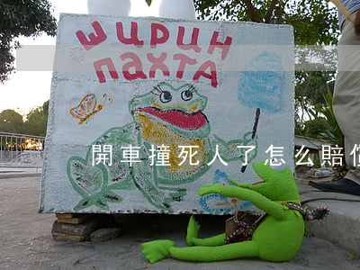 開車撞死人了怎么賠償(撞死人要賠多少)