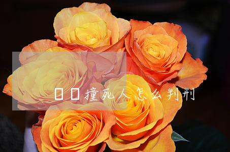 開車撞死人怎么判刑