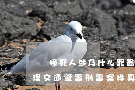 開車撞死人涉及什么罪（最高人民法院關于審理交通肇事刑事案件具體應用法律若干問題的解釋對于交通逃逸的規(guī)