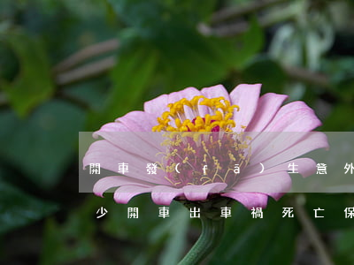 開車發(fā)生意外死亡保險公司賠償多少(開車出車禍死亡保險公司賠償嗎)