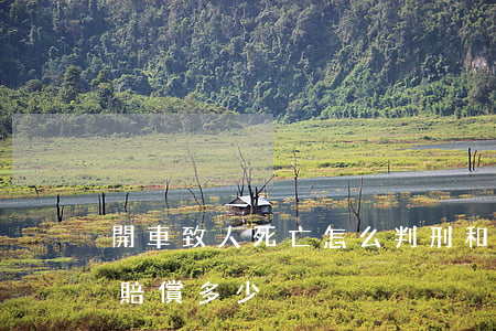 開車致人死亡怎么判刑和賠償(自己開車死亡賠償多少)