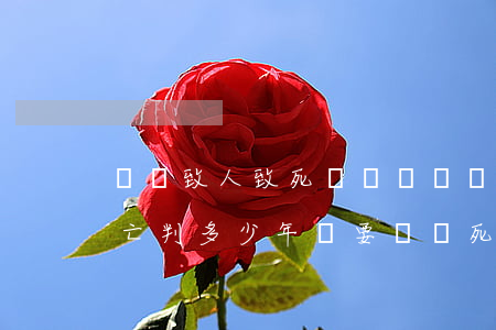開車致人致死賠償(開車導(dǎo)致人死亡 判多少年還要賠償死亡費(fèi)嗎)