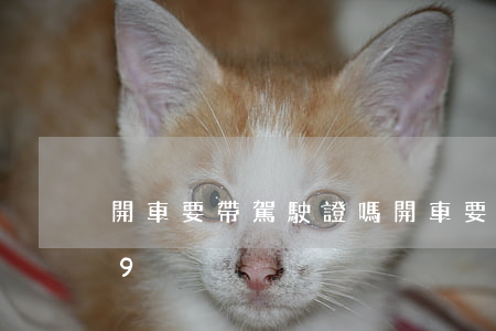 開車要帶駕駛證嗎(開車要帶駕駛證嗎2019)
