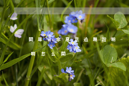開車貸非惡意逾期證明-車貸非惡意逾期證明怎么開