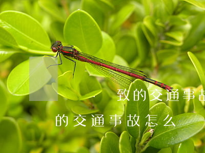 開車門導致的交通事故怎么賠償(開車門導致的交通事故怎么賠償)