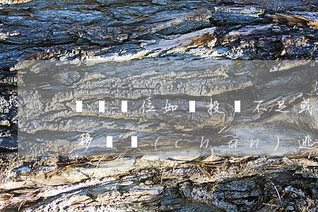 開辦單位如無投資不足或轉(zhuǎn)移資產(chǎn)逃避債務(wù)情形，僅對被吊銷營業(yè)執(zhí)照的企業(yè)法人債務(wù)承擔清算責任而非連帶責任