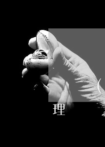 開辦費(fèi)用的賬務(wù)如何處理