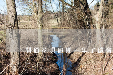 開通花唄逾期一年了還會(huì)怎么樣-
