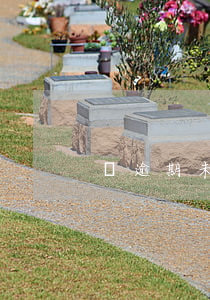 開逾期未檢驗(yàn)汽車上路怎么處罰