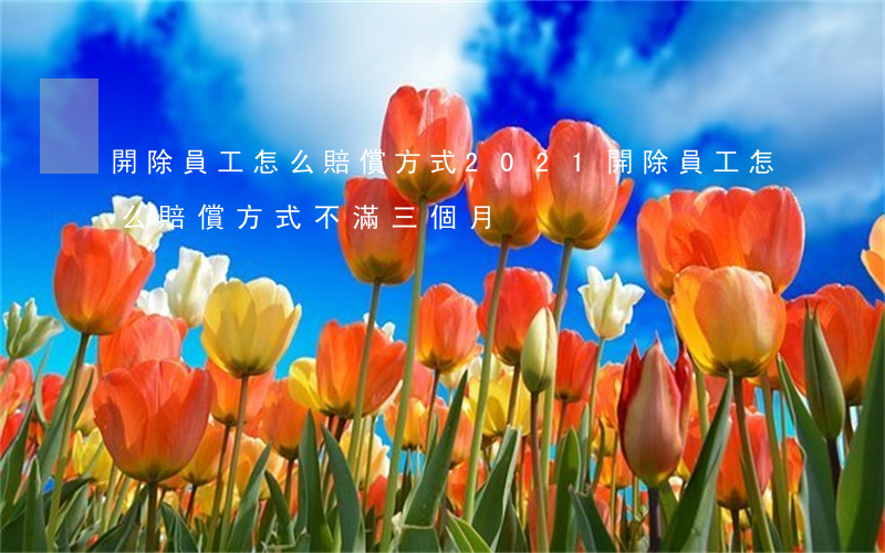 開除員工怎么賠償方式2021(開除員工怎么賠償方式不滿三個月)