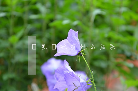 開黑網吧有什么后果