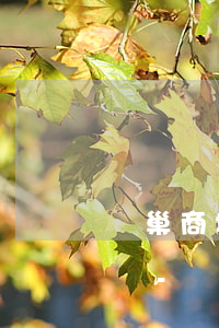 閑巢商城逾期了東西會(huì)退回商家嗎-閑巢商城逾期了怎么辦