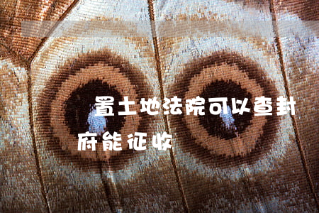 閑置土地法院可以查封嗎(法院查封的土地政府能征收嗎)
