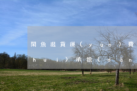 閑魚退貨運(yùn)費(fèi)誰(shuí)承擔(dān)