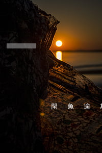 閑魚逾期了花唄（閑魚逾期了花唄）