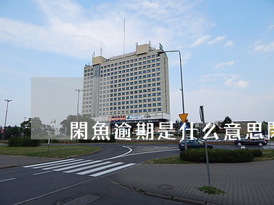 閑魚逾期是什么意思(閑魚收到警告)
