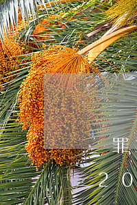 間諜罪立案標(biāo)準(zhǔn)_2021間諜罪量刑標(biāo)準(zhǔn)和認(rèn)定構(gòu)成要件
