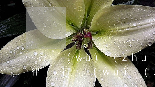 閔行債務(wù)轉(zhuǎn)移合同律師(閔行債務(wù)轉(zhuǎn)移合同律師)