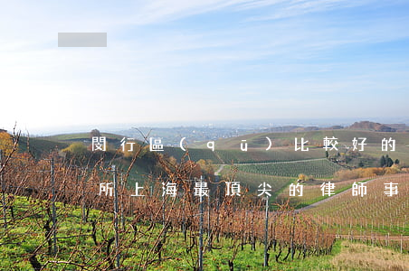 閔行區(qū)比較好的律師事務(wù)所(上海最頂尖的律師事務(wù)所)
