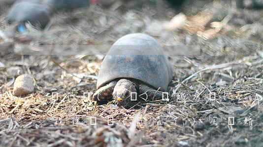 閔行區(qū)離婚房產(chǎn)分割找律師費(fèi)用(離婚房產(chǎn) 律師)