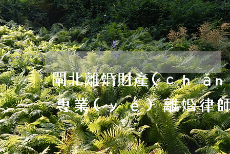 閘北離婚財產(chǎn)律師哪家好(上海專業(yè)離婚律師哪里找)