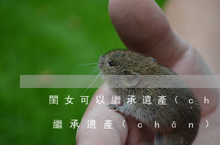 閨女可以繼承遺產(chǎn)嗎(閨女可以繼承遺產(chǎn)嗎)