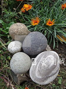 閨蜜刷我信用卡不還怎么辦