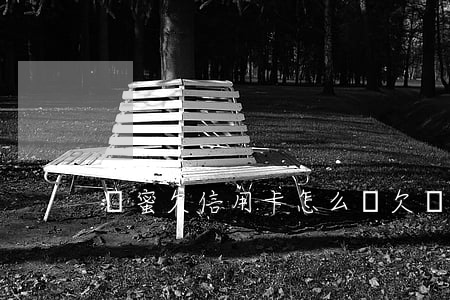 閨蜜欠信用卡怎么辦(欠閨蜜錢她催債怎么辦)