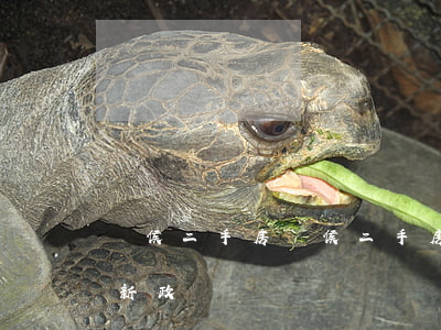 閩侯二手房(閩侯二手房交易稅費(fèi)新政)