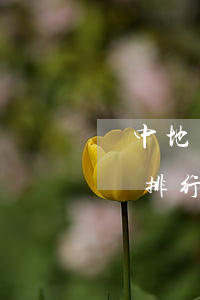 閬中地區(qū)子女撫養(yǎng)律師排行(閬中最有名的律師)