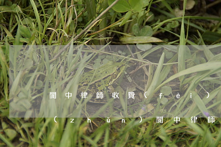 閬中律師收費(fèi)標(biāo)準(zhǔn)(閬中律師事務(wù)所)