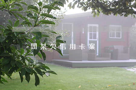 閻某欠信用卡案