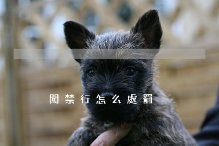 闖禁行怎么處罰