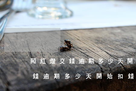 闖紅燈交錢逾期多少天開始扣錢-闖紅燈交錢逾期多少天開始扣錢了