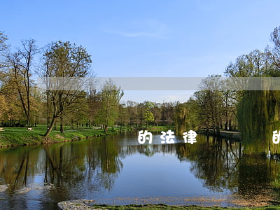 闖紅燈的法律(闖紅燈的法律法規(guī))