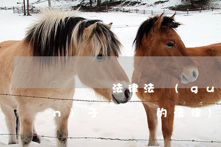 闖紅綠燈法律法規(guī)(關(guān)于闖紅燈的法律)