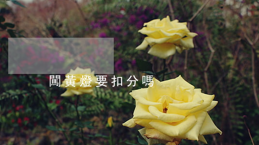 闖黃燈要扣分嗎