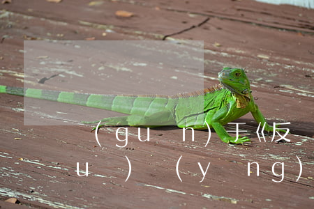 關(guān)于《反壟斷法》的合規(guī)應(yīng)用