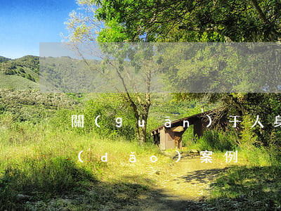 關(guān)于人身損害賠償最高法指導(dǎo)案例