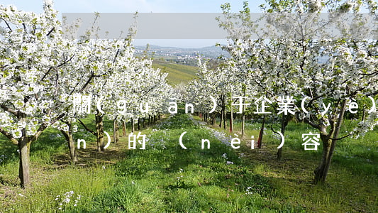 關(guān)于企業(yè)培訓(xùn)的內(nèi)容