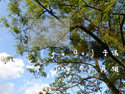 關(guān)于保險(xiǎn)理賠的十個(gè)真相