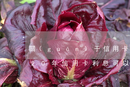 關(guān)于信用卡利息的政策-2020年信用卡利息可以減免嗎