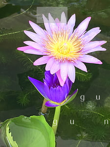 關(guān)于信用卡的逾期問題-關(guān)于信用卡的逾期問題有哪些
