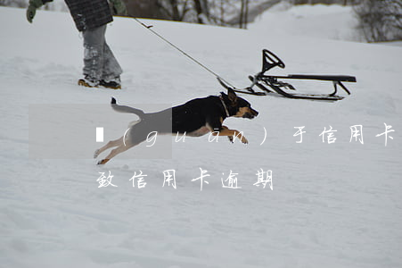 關(guān)于信用卡逾期一案(因刑拘導致信用卡逾期)