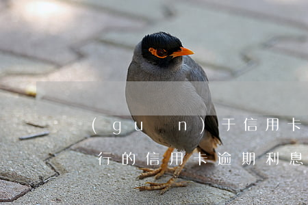 關(guān)于信用卡逾期利息怎么核查(銀行的信用卡逾期利息是怎么計(jì)算的)