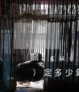關(guān)于信用卡逾期新規(guī)定多少錢(qián)算是-關(guān)于信用卡逾期新規(guī)定多少錢(qián)算是違法