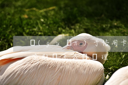 關(guān)于信用卡逾期會怎樣(信用卡逾期會怎么樣處理)