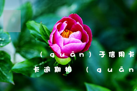 關(guān)于信用卡逾期法律知識(信用卡逾期相關(guān)法律知識)